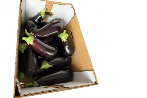 Aubergine Dutch, 5kg