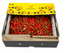 Thai Red Chilli, 1.5kg box