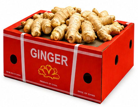Fresh Ginger 10kg