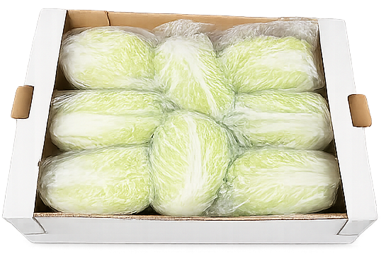 Chinese Leaf, 8 pieces box