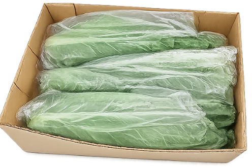 Spring Cabbage, 10/12 pieces