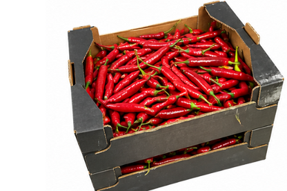 Fresh Long Red Chilli, 3kg box