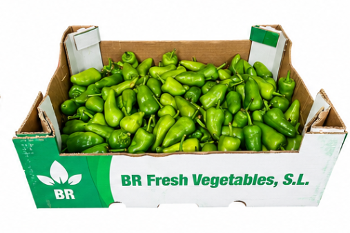 Fresh Bullet Chilli, 1kg