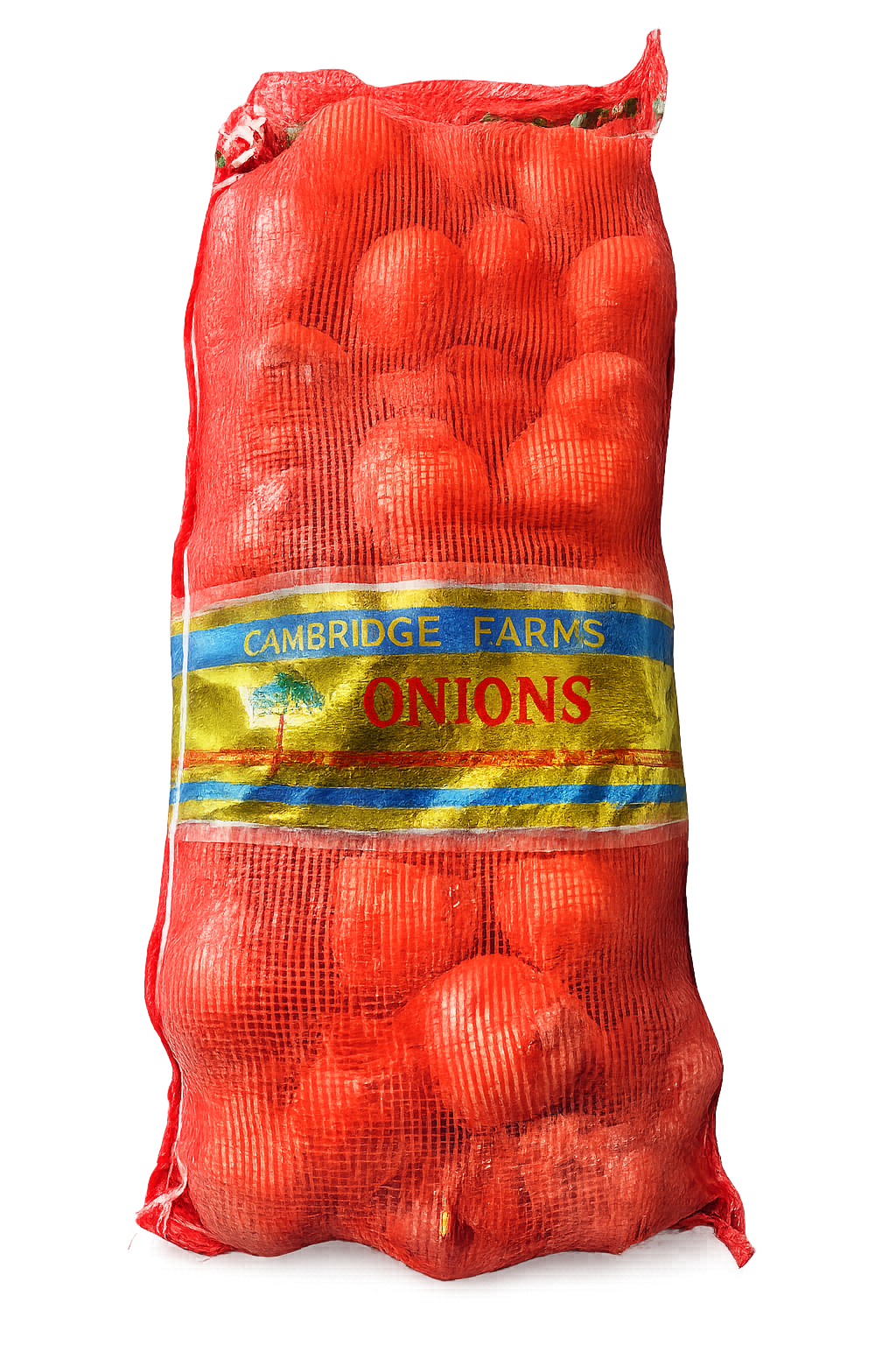 Fresh Spanish Onion bag, 20kg