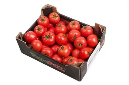 Fresh Tomato, 6kg box