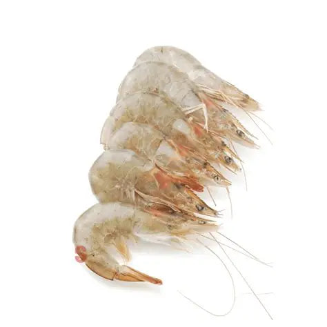 HBF PND Prawns 26/30, 800g net