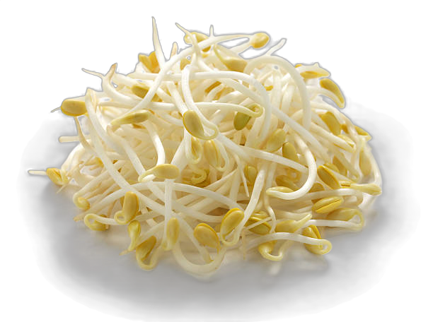 Fresh Beansprouts, 4 kg