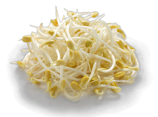 Fresh Beansprouts, 4 kg