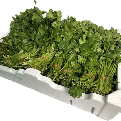 Fresh Coriander, box