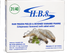 HBF PND Prawns 31/40 6x1.4kg
