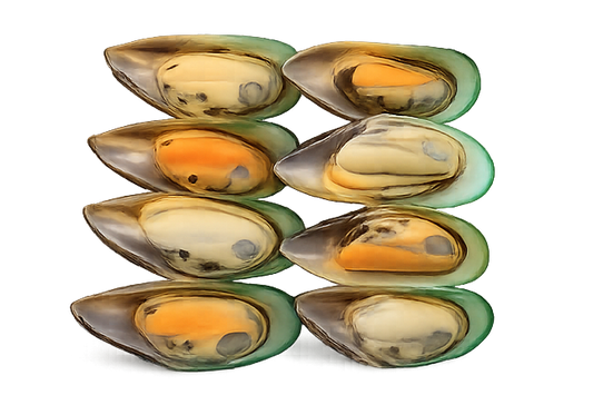 Half Shell Mussels 12x800g