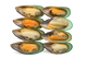 Half Shell Mussels 12x800g