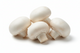 Fresh Mushroom Tray,  2.5kg