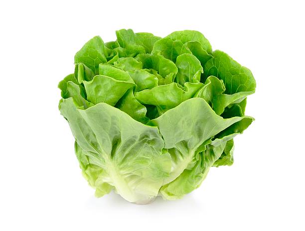 Latus (Lettuce), box