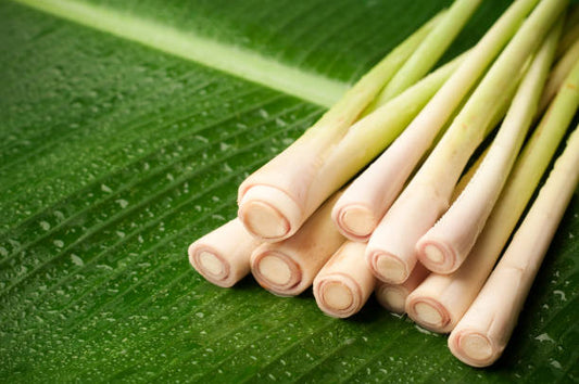 Fresh Lemongrass, (Per Bunch)
