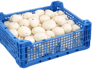 Fresh Mushroom Tray,  2.5kg