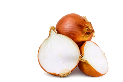 Fresh Spanish Onion bag, 20kg