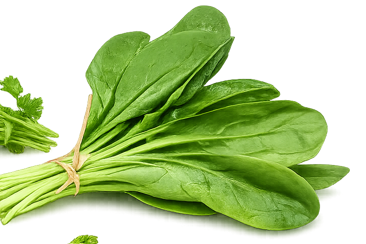 Fresh Spinach, (Per Bunch)