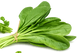 Fresh Spinach, (Per Bunch)