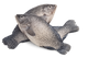 Tilapia 5kg 500+ Medium