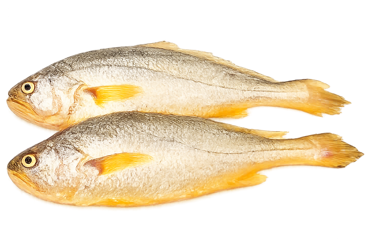 Yellow Croaker 2x3kg