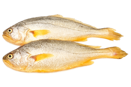Yellow Croaker 2x3kg
