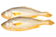 Yellow Croaker 2x3kg